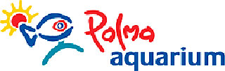 12_Palma Aquarium