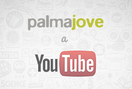 SLIDE palmajove en youtube